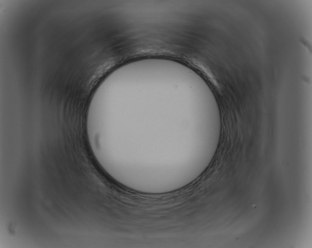 X0000092020023200709061339
