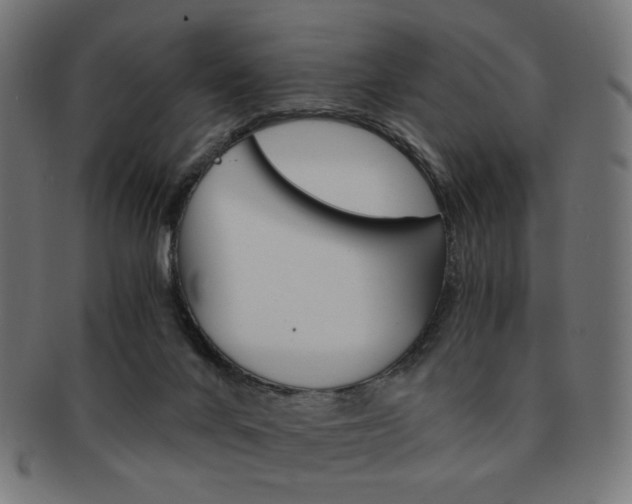 X0000092020024200709061339