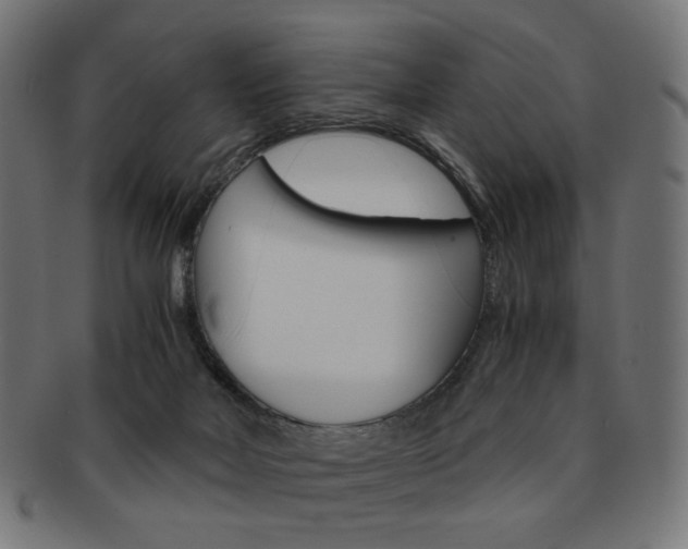 X0000092020026200709061339