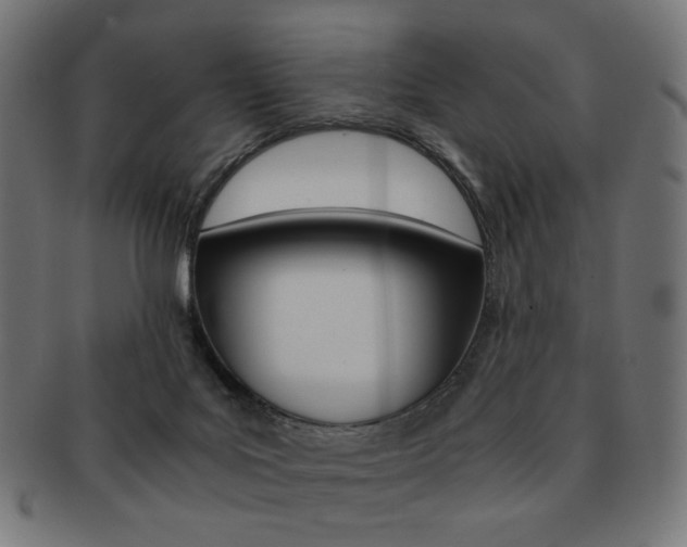 X0000092020027200709061339
