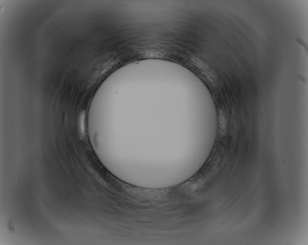 X0000092020028200709061339