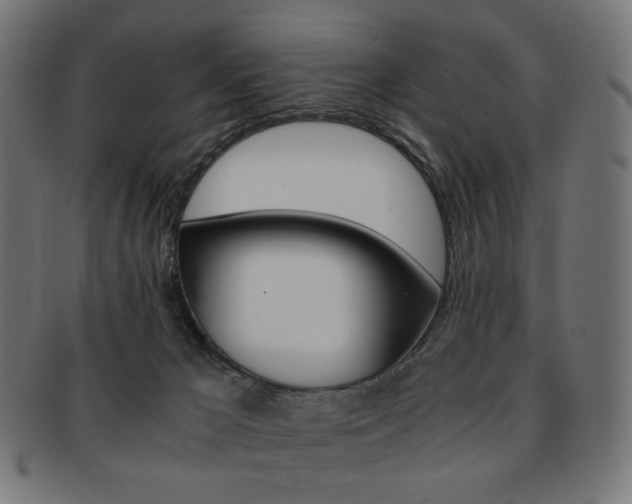 X0000092020029200709061339