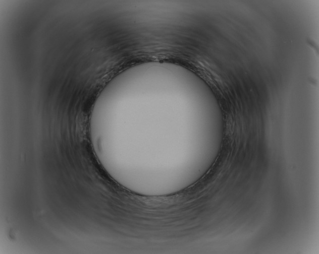 X0000092020030200709061339