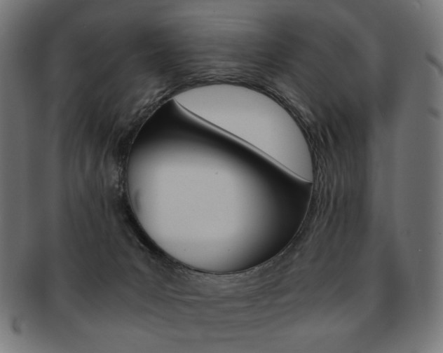 X0000092020031200709061339