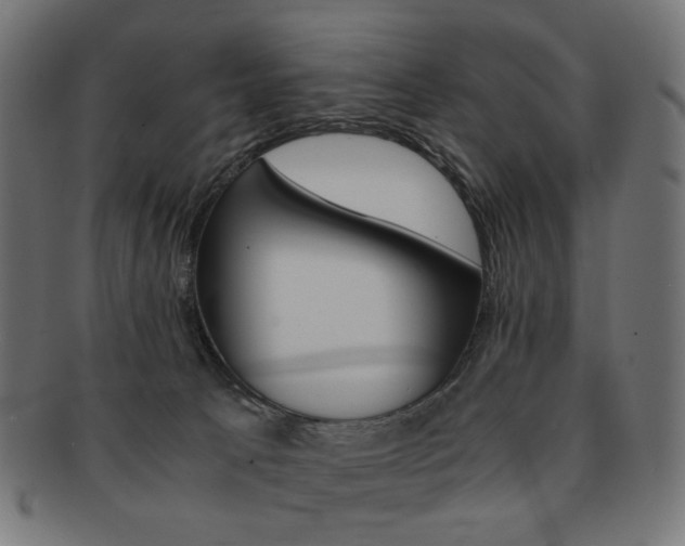 X0000092020033200709061339