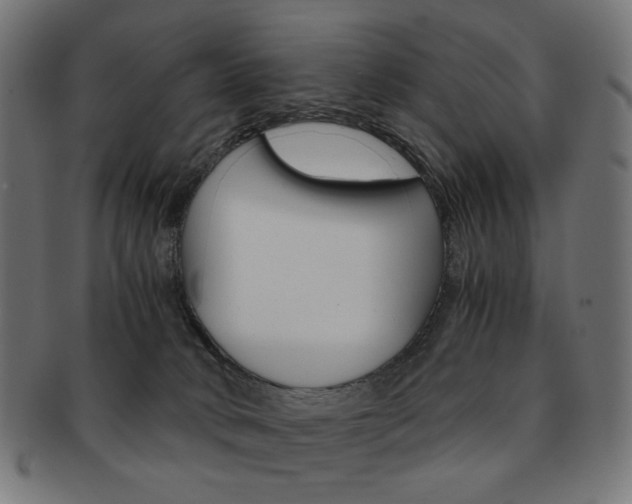 X0000092020034200709061339