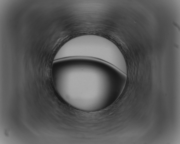 X0000092020035200709061339
