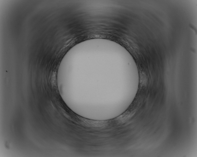 X0000092020036200709061339