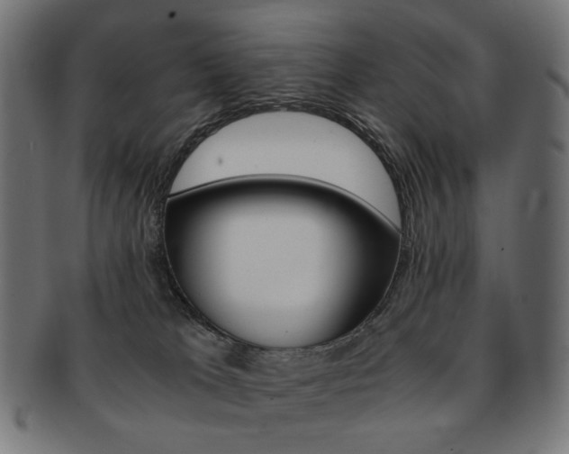 X0000092020037200709061339