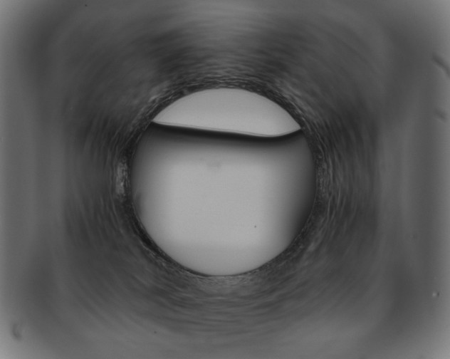 X0000092020038200709061339