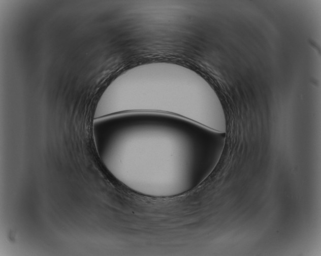 X0000092020039200709061339