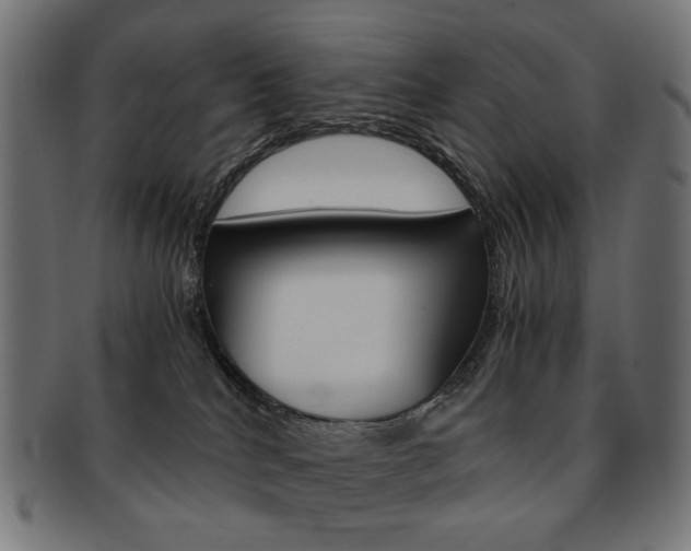 X0000092020040200709061339