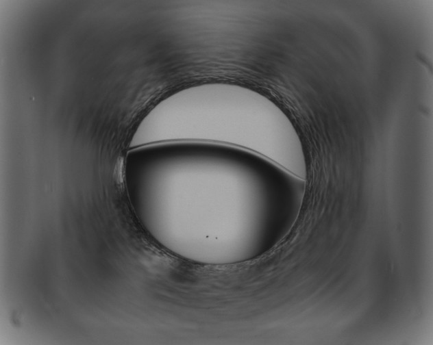 X0000092020041200709061339
