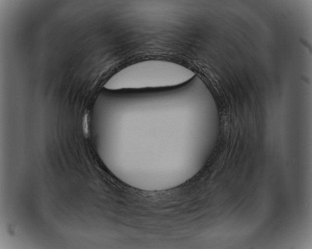 X0000092020042200709061339