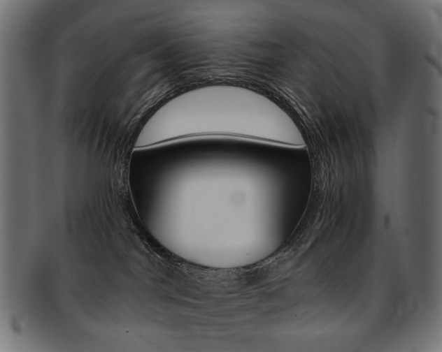 X0000092020044200709061339