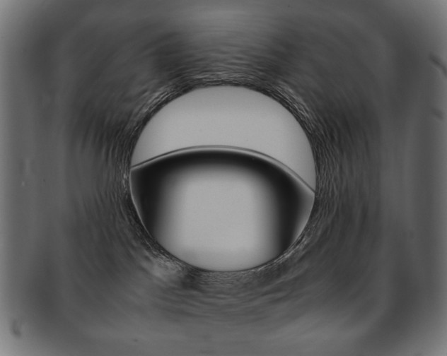X0000092020045200709061339