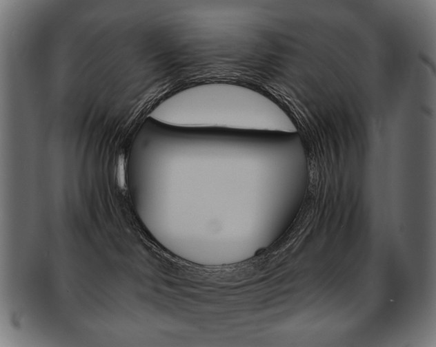 X0000092020046200709061338