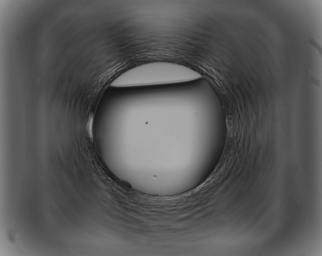 X0000092020047200709061338