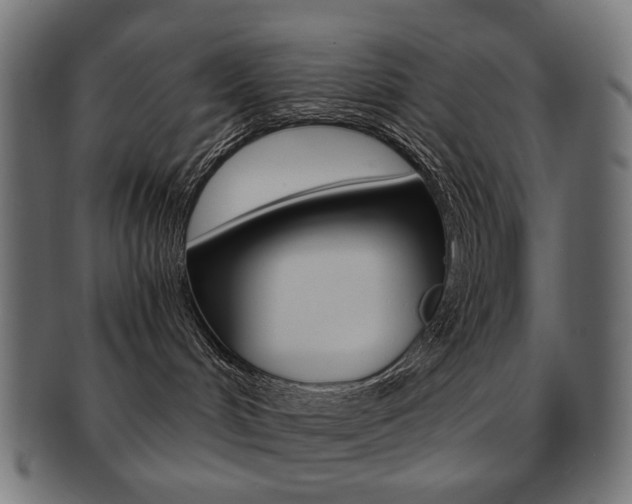 X0000092020048200709061338