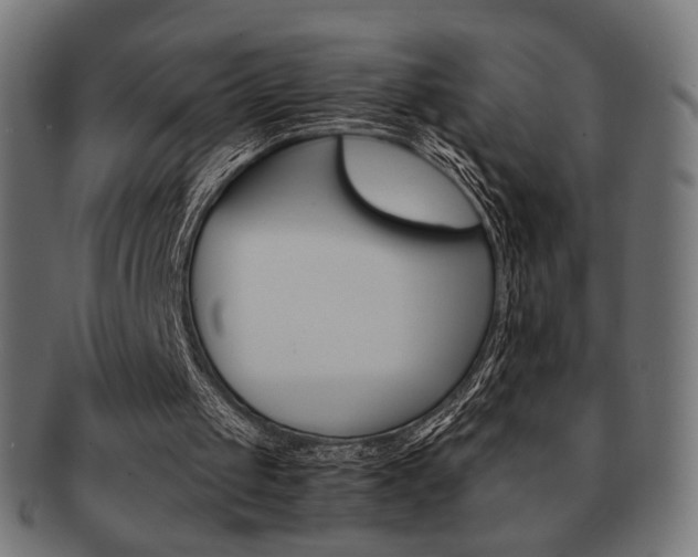 X0000092020049200709061338