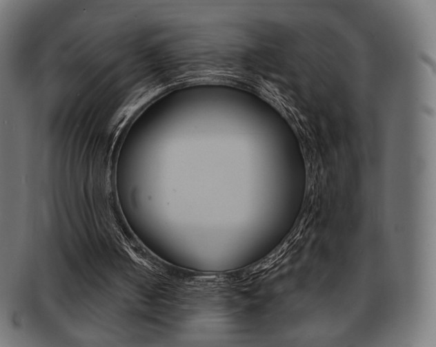 X0000092020050200709061338