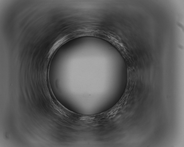 X0000092020051200709061338