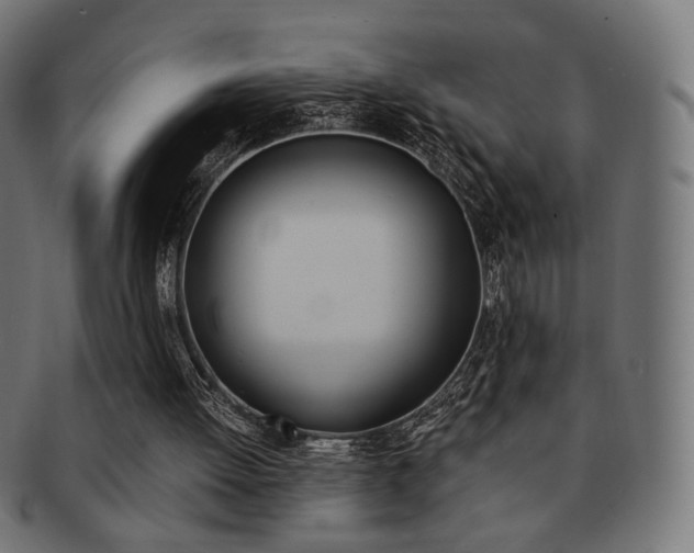 X0000092020052200709061338