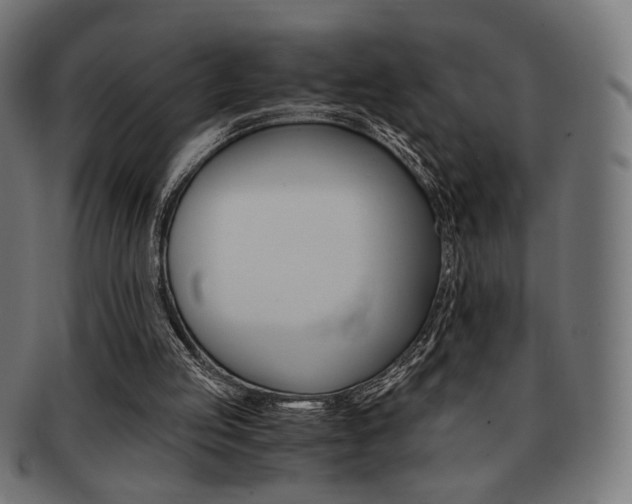 X0000092020053200709061338
