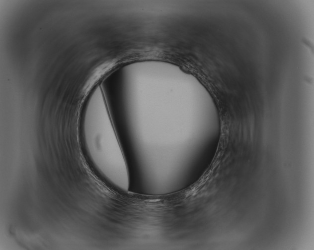 X0000092020054200709061338