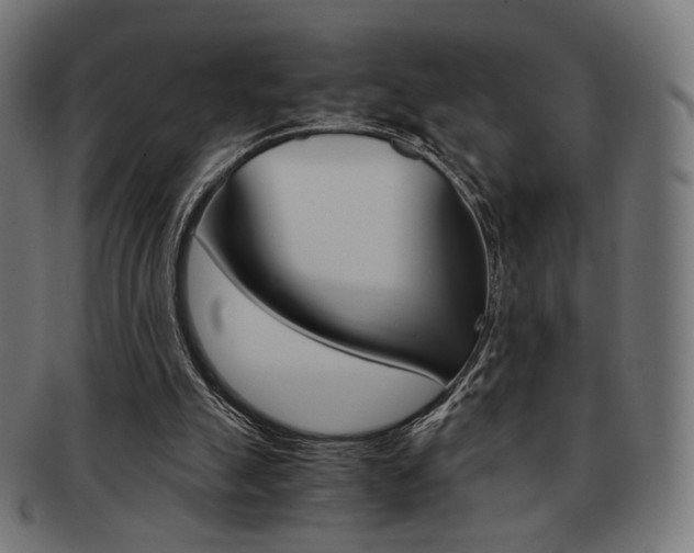 X0000092020055200709061338