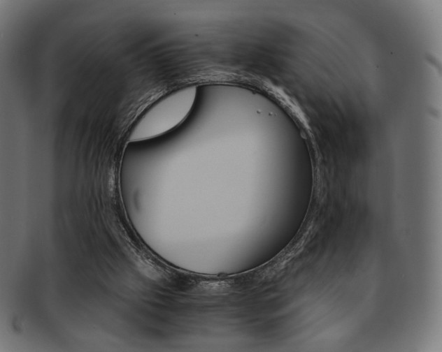 X0000092020057200709061338