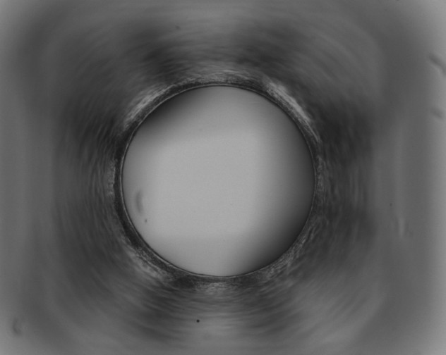 X0000092020058200709061338