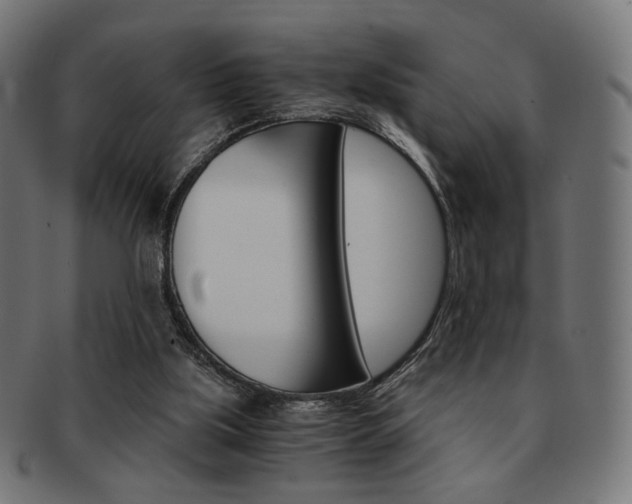 X0000092020059200709061338