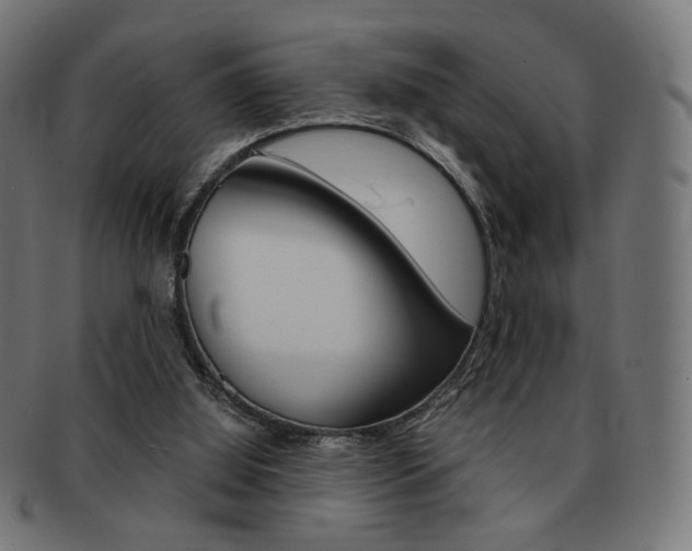 X0000092020060200709061338