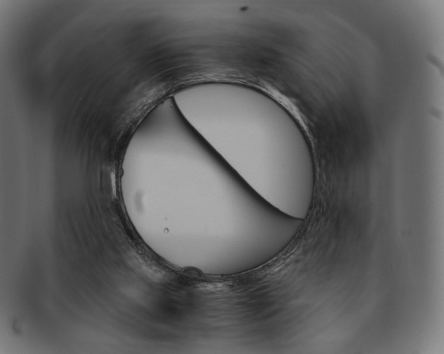 X0000092020061200709061338