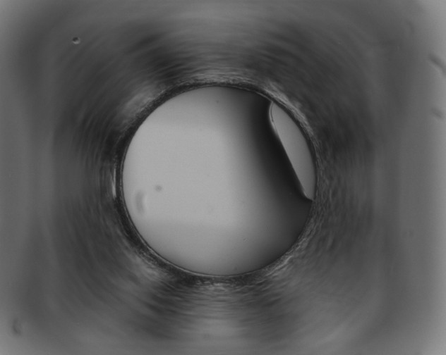 X0000092020062200709061338
