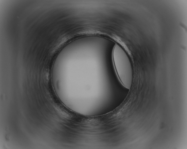 X0000092020063200709061338