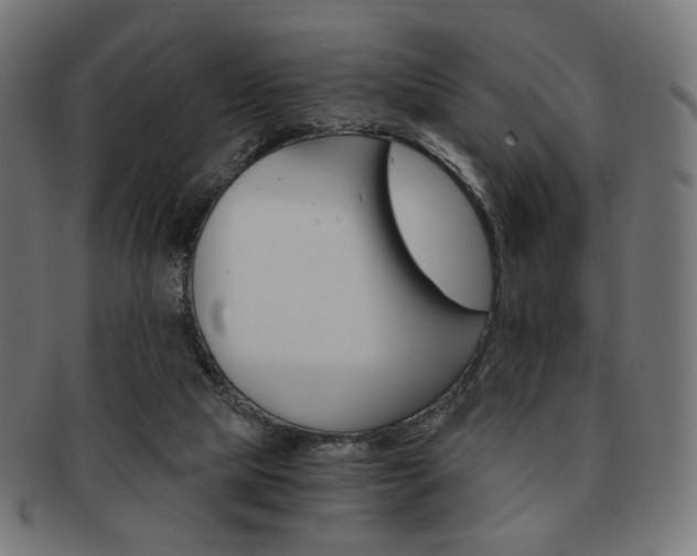 X0000092020065200709061338