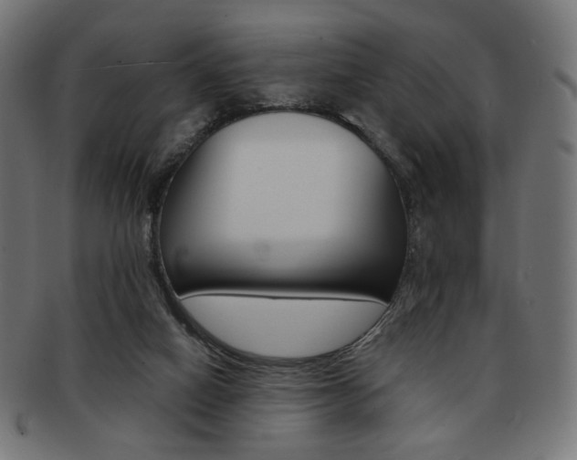 X0000092020066200709061338