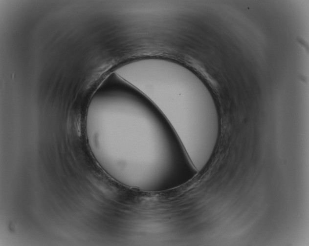 X0000092020068200709061338