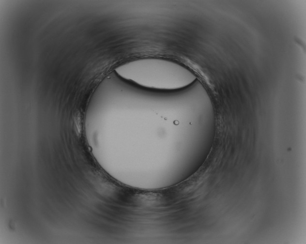 X0000092020069200709061338