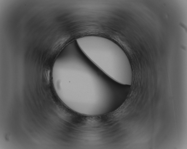 X0000092020070200709061338
