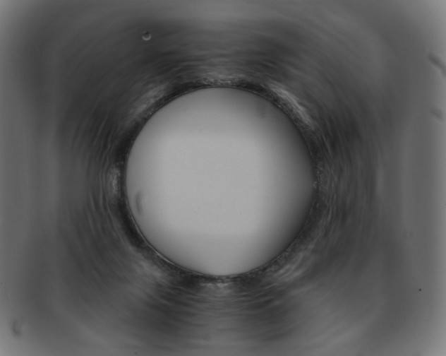 X0000092020071200709061338