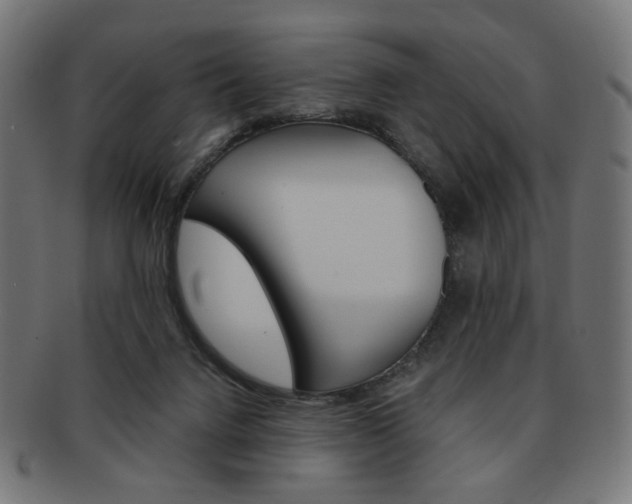 X0000092020072200709061338