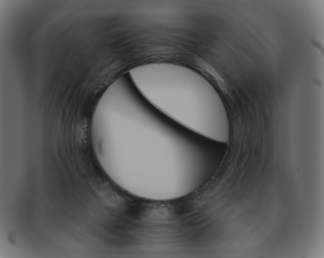 X0000092020073200709061338