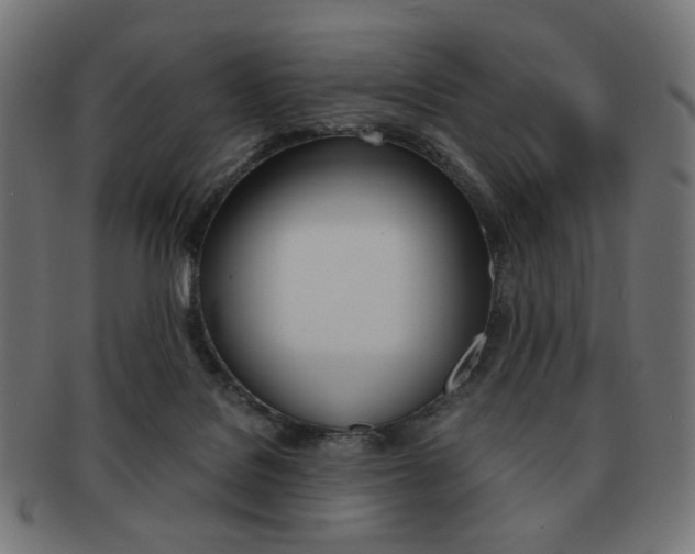 X0000092020076200709061338