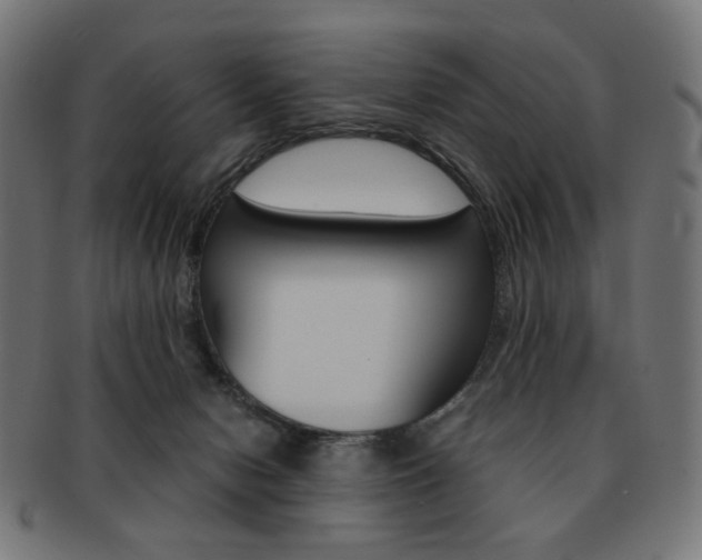 X0000092020078200709061338