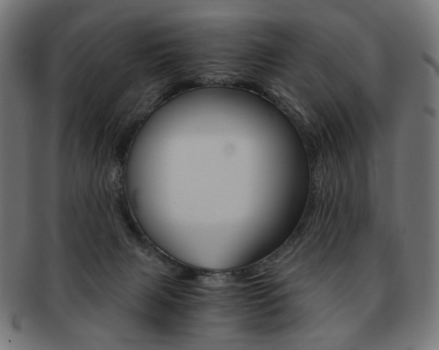 X0000092020079200709061338