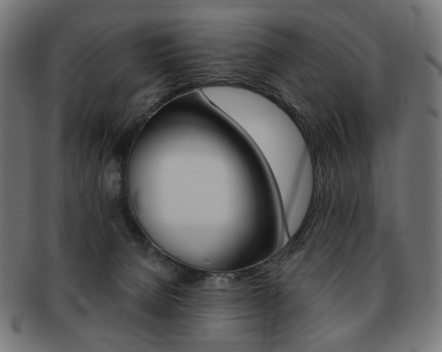 X0000092020080200709061338