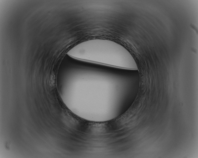 X0000092020081200709061338